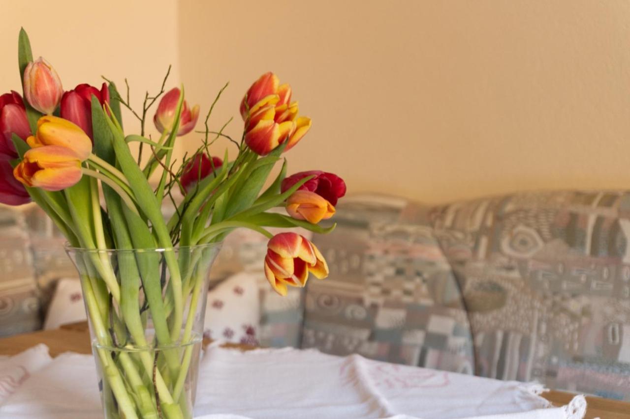 Pension Trillerhof Рамзау ам Дахщайн Екстериор снимка