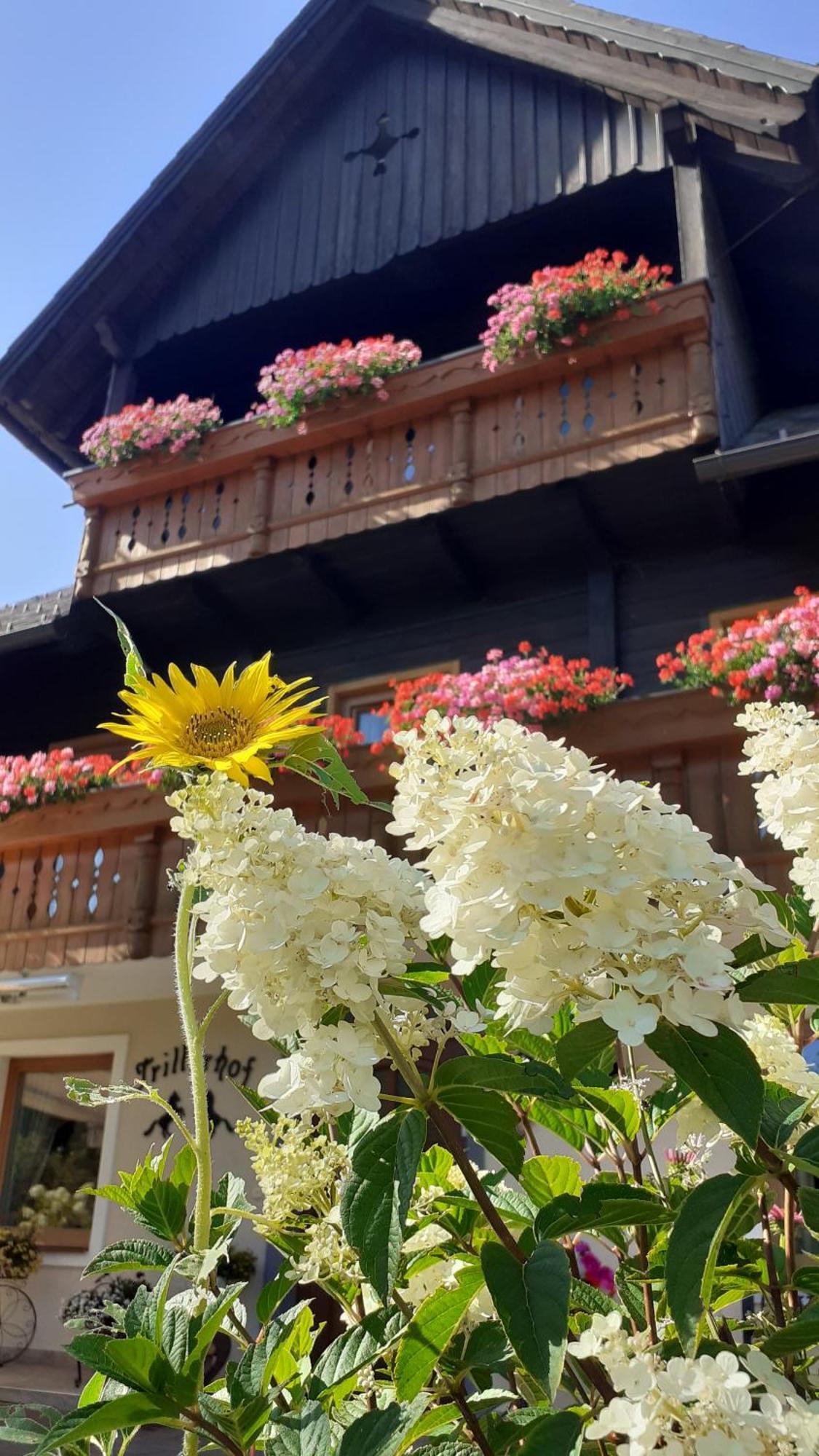 Pension Trillerhof Рамзау ам Дахщайн Екстериор снимка