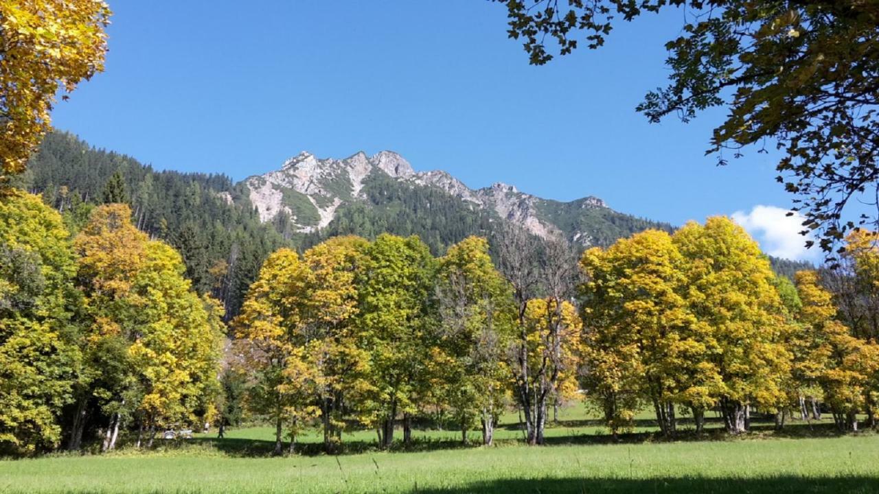 Pension Trillerhof Рамзау ам Дахщайн Екстериор снимка